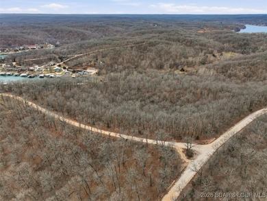 Interested in having BOTH acreage AND lake? This property - photo 25