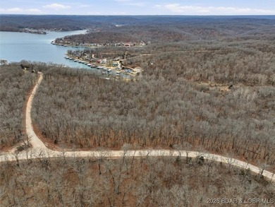 Interested in having BOTH acreage AND lake? This property - photo 26