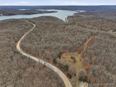 Interested in having BOTH acreage AND lake? This property - photo 28