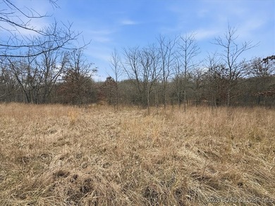 Interested in having BOTH acreage AND lake? This property - photo 29