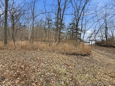 Interested in having BOTH acreage AND lake? This property - photo 30