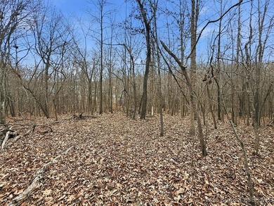Interested in having BOTH acreage AND lake? This property - photo 33