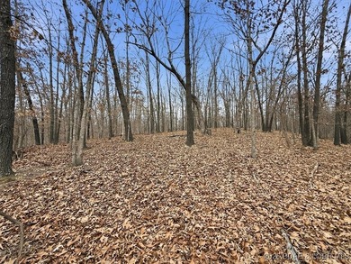 Interested in having BOTH acreage AND lake? This property - photo 35