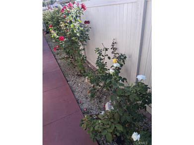 55+ Coastal Living at its best in Hueneme Bay! 3 Bedroom 3 - photo 35