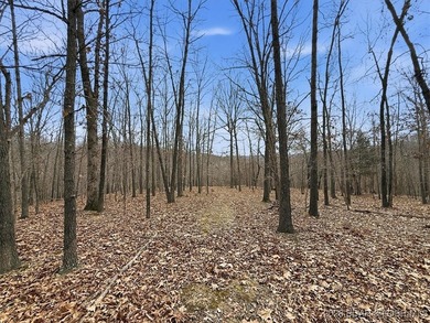 Interested in having BOTH acreage AND lake? This property - photo 37