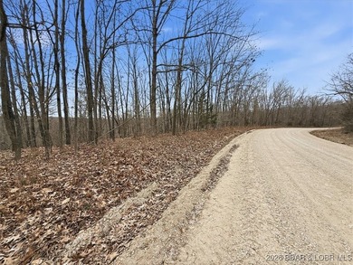 Interested in having BOTH acreage AND lake? This property - photo 38