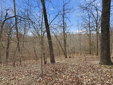 Interested in having BOTH acreage AND lake? This property - photo 40