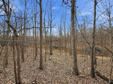 Interested in having BOTH acreage AND lake? This property - photo 41