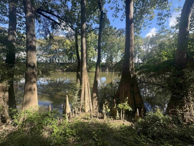 (private lake, pond, creek) Acreage For Sale in Lonoke Arkansas