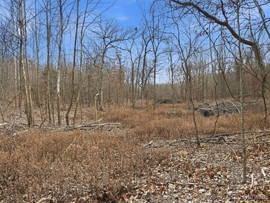 Interested in having BOTH acreage AND lake? This property - photo 43