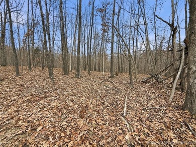 Interested in having BOTH acreage AND lake? This property - photo 44