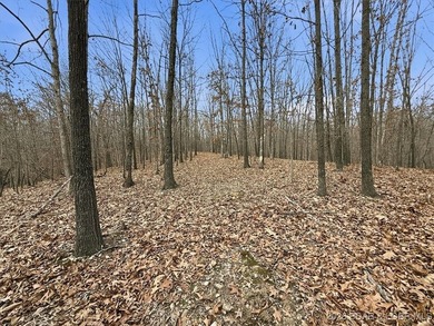 Interested in having BOTH acreage AND lake? This property - photo 45