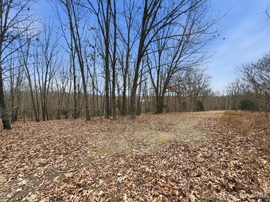 Interested in having BOTH acreage AND lake? This property - photo 47