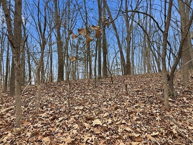 Interested in having BOTH acreage AND lake? This property - photo 49