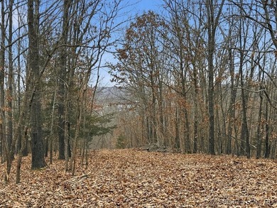 Interested in having BOTH acreage AND lake? This property - photo 50
