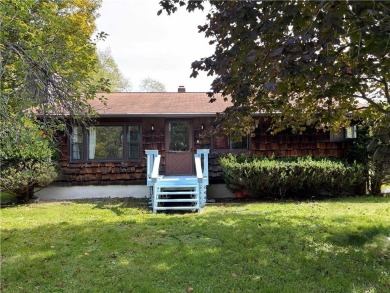 Lake Home For Sale in Sidney, New York