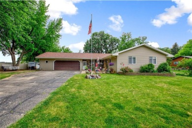 Lake Washington - Le Sueur County Home For Sale in Madison Lake Minnesota