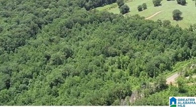 Lake Acreage For Sale in Wedowee, Alabama