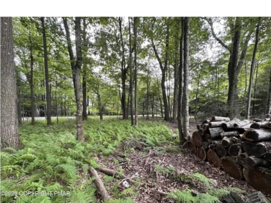 Pocono Summit Lake Lot For Sale in Mount Pocono Pennsylvania