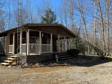 Lake Home For Sale in Alger, Michigan