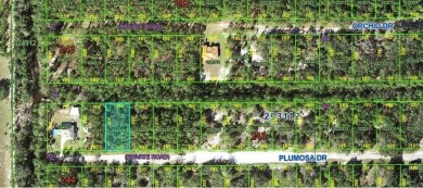 Lake Lot For Sale in Indian Lake Estates, Florida