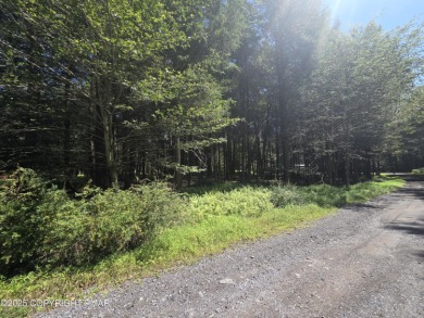 Placid Lake Lot For Sale in Albrightsville Pennsylvania