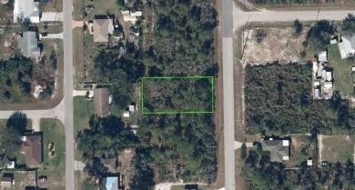 Lake Lot For Sale in Lake Placid, Florida