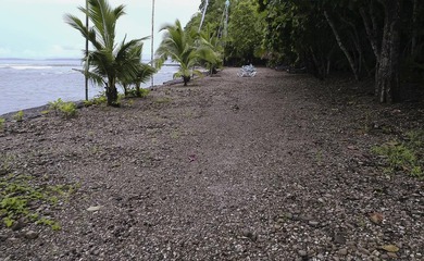 Rare Opportunity to own a piece of Paradise! Finca Caletas is a - photo 12