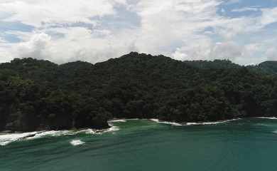Rare Opportunity to own a piece of Paradise! Finca Caletas is a - photo 14