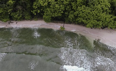 Rare Opportunity to own a piece of Paradise! Finca Caletas is a - photo 15