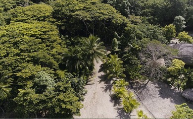 Rare Opportunity to own a piece of Paradise! Finca Caletas is a - photo 17