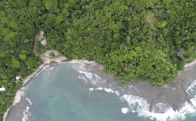 Rare Opportunity to own a piece of Paradise! Finca Caletas is a - photo 18