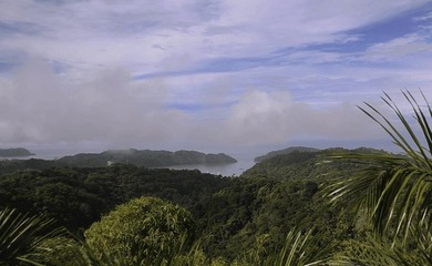 Rare Opportunity to own a piece of Paradise! Finca Caletas is a - photo 22