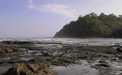 Rare Opportunity to own a piece of Paradise! Finca Caletas is a - photo 24
