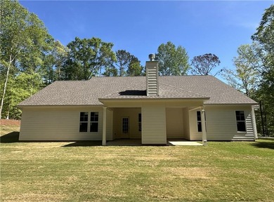 If you're looking for a brand new, one-level home on a large lot - photo 25