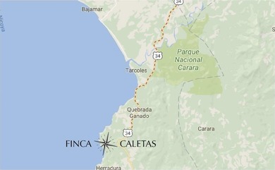 Rare Opportunity to own a piece of Paradise! Finca Caletas is a - photo 27