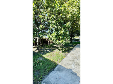 This Centrally located home with NO HOA offers convenience and - photo 31