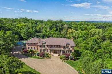 MAJESTICALLY SET ON 2 MANICURED ACRES, THIS BRICK COLONIAL MANOR - photo 46