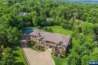 MAJESTICALLY SET ON 2 MANICURED ACRES, THIS BRICK COLONIAL MANOR - photo 47