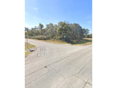 Lake Marion - Polk County Lot For Sale in Poinciana Florida