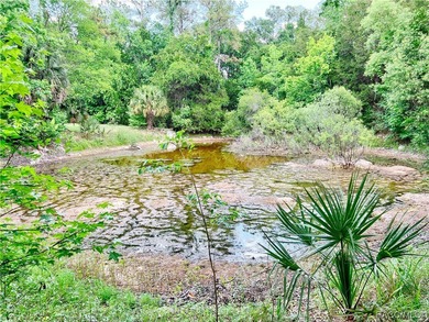 Charming cracker style home, guest cottage and barn are located - photo 22
