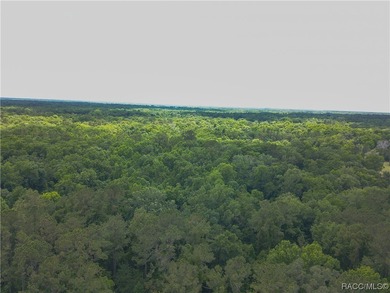 Charming cracker style home, guest cottage and barn are located - photo 26