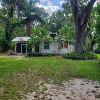 Lake Home For Sale in Lake Hamilton, Florida