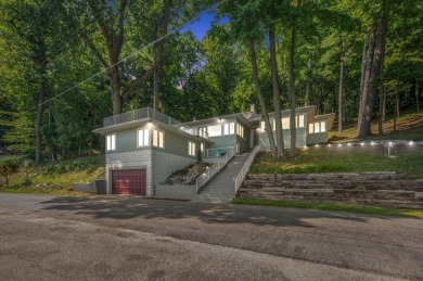 Lake Home For Sale in Greenville, Michigan