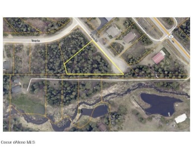 Priest Lake Lot For Sale in Priest Lake Idaho