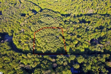 (private lake, pond, creek) Lot For Sale in Elmira Michigan