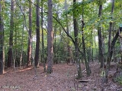 (private lake, pond, coastal) Lot For Sale in Carthage North Carolina