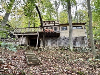 Youghiogheny River Lake Home For Sale in Confluence Pennsylvania