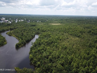 Nestled in the heart of Kiln on the Jourdan River, this - photo 8