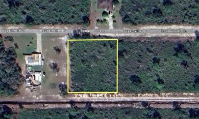 Lake Weohyakapka (Lake Walk-In-Water) Lot For Sale in Indian Lake Estates Florida